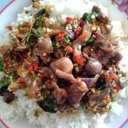 ครัวตระกูล อ อาหารป่า ตามสั่ง ก๋วยเตี๋ยว ราดหน้า ลาบ ก้อย