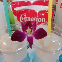 มะพร้าวปั่นนมสด by จันทร์