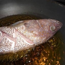 เก๋า ทอดเกลือ