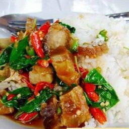 กระเพรา ราดข้าว