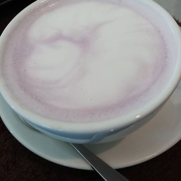 นมสดเผือก(ร้อน)