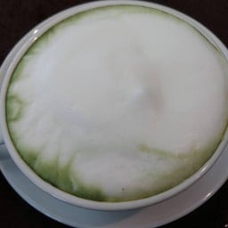 ชาเขียวนมสด (ร้อน)