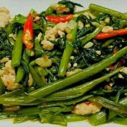 ผัดผักบุ้งหมูสับราดข้าว