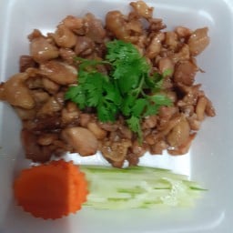 เนื้อทอดกระเทียม(กับข้าว)