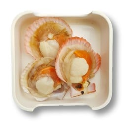หอยเชลล์