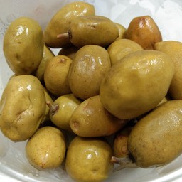 มะกอกดอง