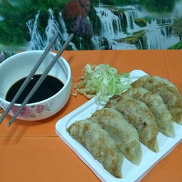 Ninki Gyoza