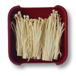 เห็ดเข็มทอง