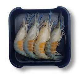 กุ้งสด