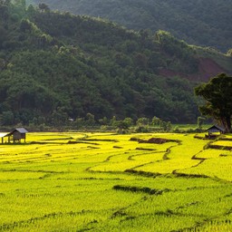 โครงการสถานีพัฒนาเกษตรที่สูง บ้านสะจุก-สะเกี้ยง