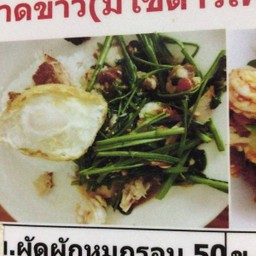 ข.ผัดผักทะเล