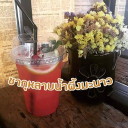 กุหลาบน้ำผึ้งมะนาว