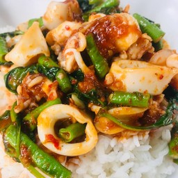 พริกแกงปลาหมึกราดข้าว