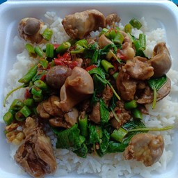 กระเพราเครื่องในไก่ราดข้าว