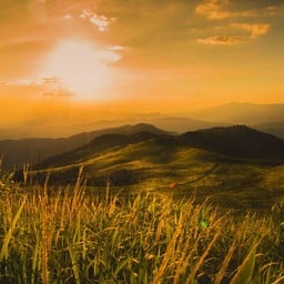 ดอยสวนยาหลวง