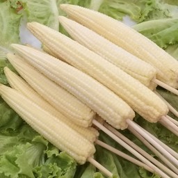 ข้าวโพดอ่อน