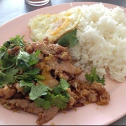 ข้าวราดหมูกระเทียม