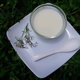 นมสดร้อน