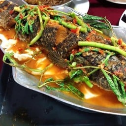 แปะซะปลาช่อนทอด