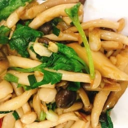 เห็ดน้ำมันหอย(เป็นกับ)