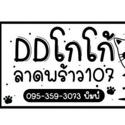 DDโกโก้ลาดพร้าว107
