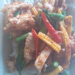 พริกแกงเนื้อ+ราดข้าว