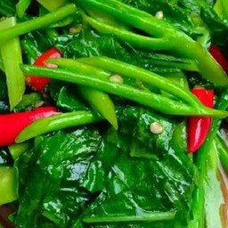 ผัดคะน้าฮ่องกงราดข้าวเจ