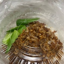 หมูกระเทียม
