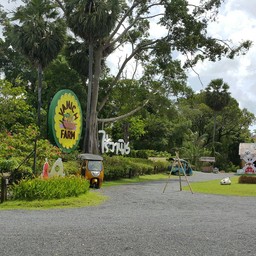 ไร่วานิช