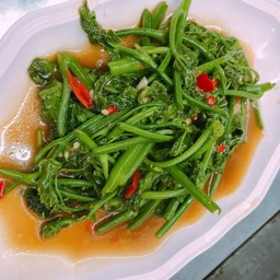 ผักแม้วน้ำมันหอย