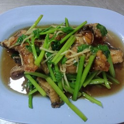 ปลาช่อนผัดใบคึ่นช่าย