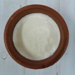 โยเกิร์ด