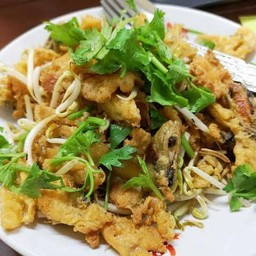 หอยทอด ธรรมดา