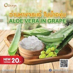 ว่านหางจระเข้