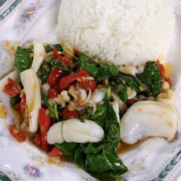ข้าวราดผัดกะเพราปลาหมึก
