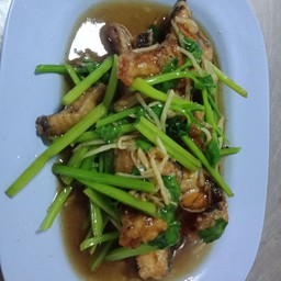 ปลากะพงผัดใบคึ่นช่าย