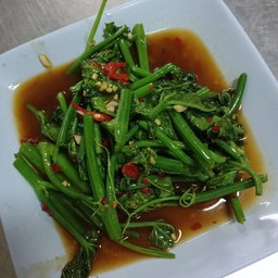 แม้วผัดน้ำมันหอย