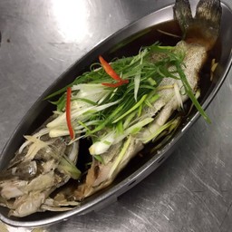 ปลาเก๋านึ่งซีอิ้ว