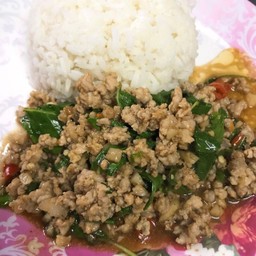 ข้าวราดผัดกะเพราหมูสับ