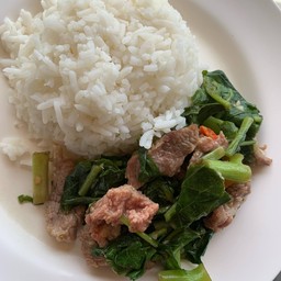 คะน้านำ้มันหอย