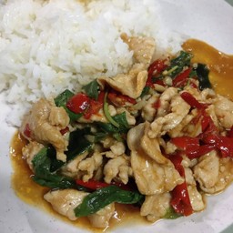 ข้าวราดผัดกะเพราหมูชิ้น