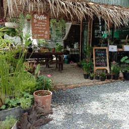 Coffee Garden13 พัฒนาการ13