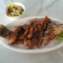 ปลากระพง ทอดน้ำปลา