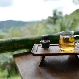 คาเฟ่ชา-888-發發發-ดอยแม่สลอง