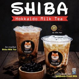 Shiba Hokkaido Milk Tea วังทองหลาง