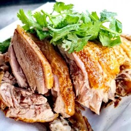 ร้านเป็ดพะโล้ไก่ต้มน้ำปลาเมืองแปดริ้วขอนแก่น ขอนแก่น