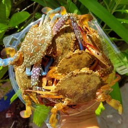 บ้านปูแกะบางพระ