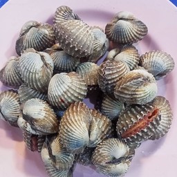 กุ้งทะเลซีฟู้ด