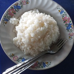 ข้าวเปล่า