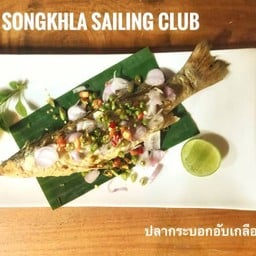 ปลากระบอกอับเกลือ